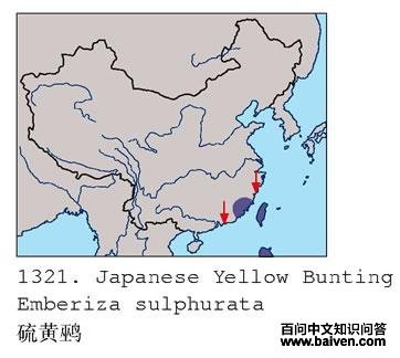 ����c�ĵ����ֲ�ͼ