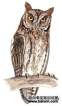 ������^��ͼ��