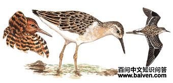 �����ֵ�ͼ��