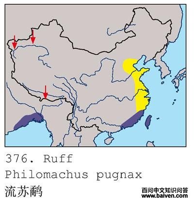 �����ֵĵ����ֲ�ͼ