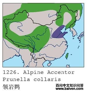 �����ҵĵ����ֲ�ͼ