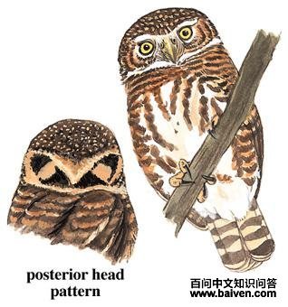 ����m��ͼ��