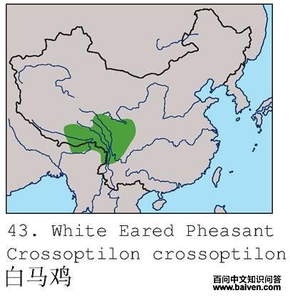 �������ĵ����ֲ�ͼ