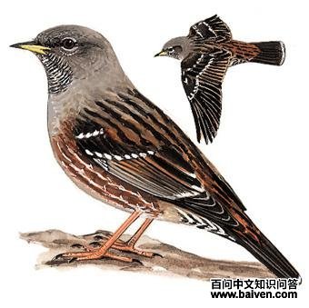 �����ҵ�ͼ��