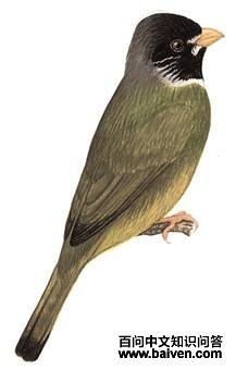 ��ȸ���ǵ�ͼ��