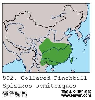 ��ȸ���ǵĵ����ֲ�ͼ