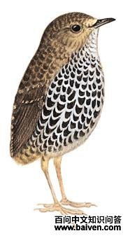 �������̵�ͼ��