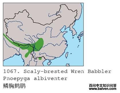 �������̵ĵ����ֲ�ͼ