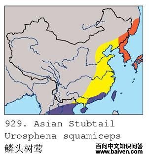 ��ͷ��ݺ�ĵ����ֲ�ͼ