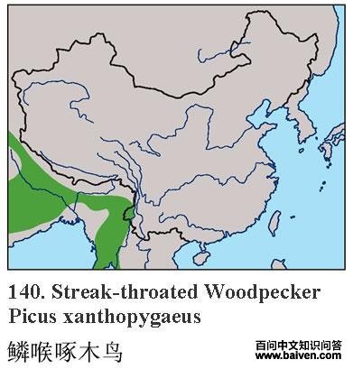 �ۺ�����ľ��ĵ����ֲ�ͼ