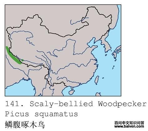 �۸�����ľ��ĵ����ֲ�ͼ