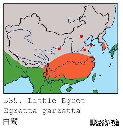 ���صĵ����ֲ�ͼ