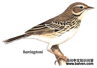 ���ҵ�ͼ��