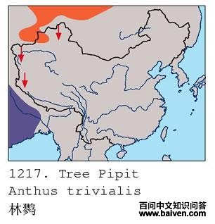 ���ҵĵ����ֲ�ͼ