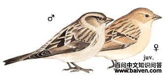 ����ȸ��ͼ��