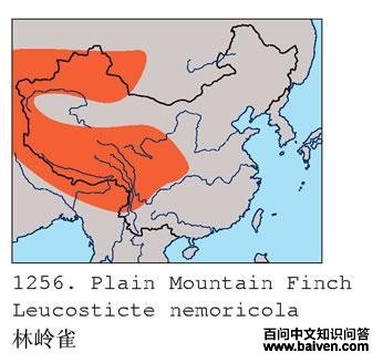 ����ȸ�ĵ����ֲ�ͼ