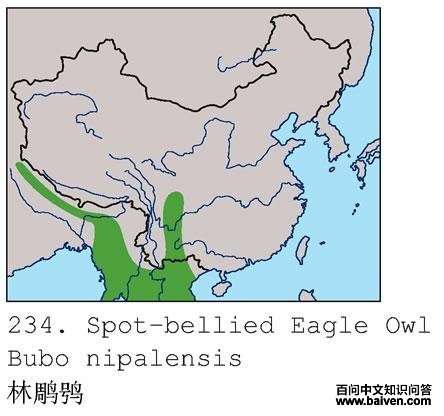 �ֵ��^�ĵ����ֲ�ͼ