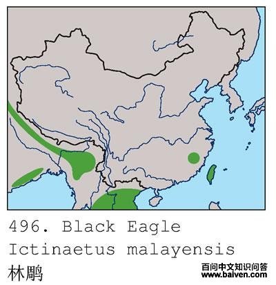 �ֵ�ĵ����ֲ�ͼ