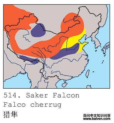 �����ĵ����ֲ�ͼ