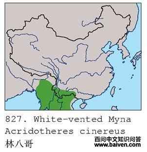 �ְ˸�ĵ����ֲ�ͼ