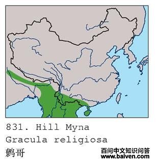 �Ӹ�ĵ����ֲ�ͼ