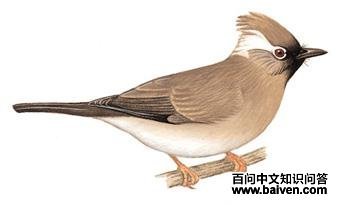 ������̵�ͼ��