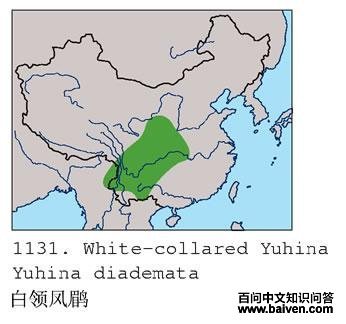 ������̵ĵ����ֲ�ͼ