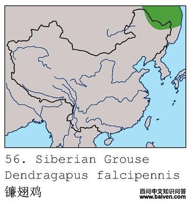 ���ἦ�ĵ����ֲ�ͼ