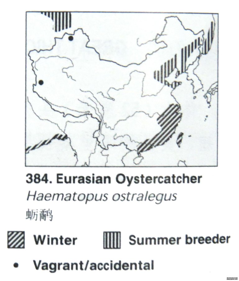 ���ֵĵ����ֲ�ͼ