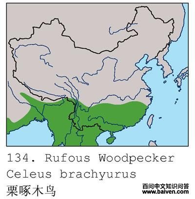 ����ľ��ĵ����ֲ�ͼ