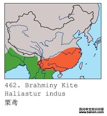 ���ĵ����ֲ�ͼ