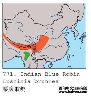 �������ĵ����ֲ�ͼ