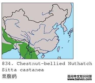 �������ĵ����ֲ�ͼ