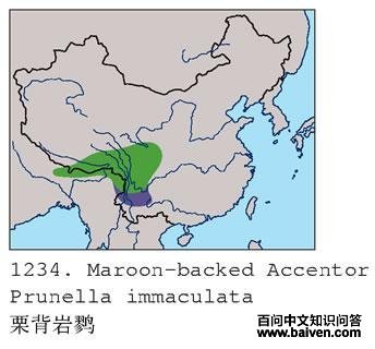 �������ҵĵ����ֲ�ͼ