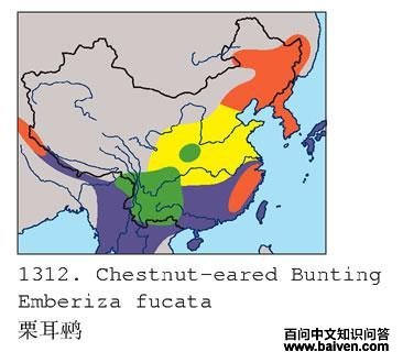 �����c�ĵ����ֲ�ͼ