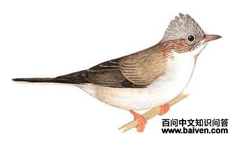 �������̵�ͼ��