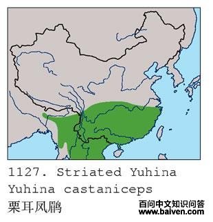 �������̵ĵ����ֲ�ͼ