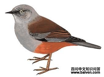 �������ҵ�ͼ��