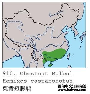 �����̽��ǵĵ����ֲ�ͼ