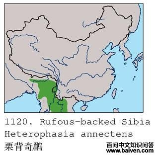 �������̵ĵ����ֲ�ͼ