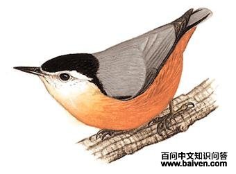 ��������ͼ��