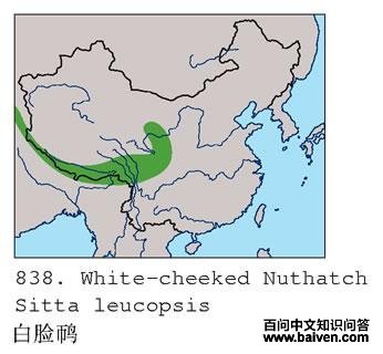 �������ĵ����ֲ�ͼ