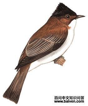 �����̽��ǵ�ͼ��