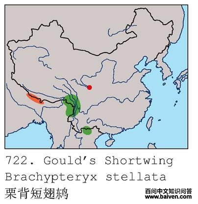 �����̳��ĵ����ֲ�ͼ