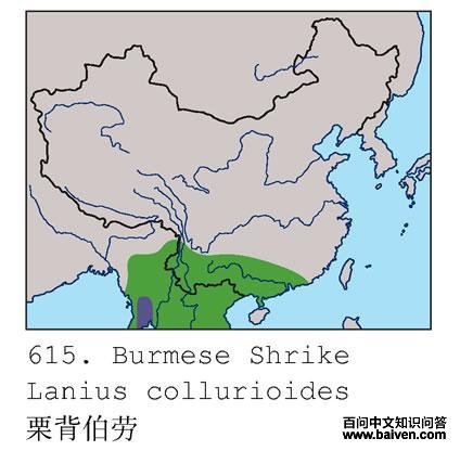 �������͵ĵ����ֲ�ͼ