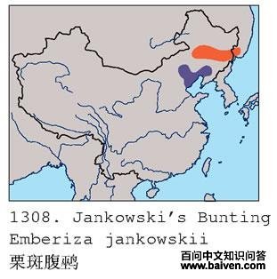 ���߸��c�ĵ����ֲ�ͼ