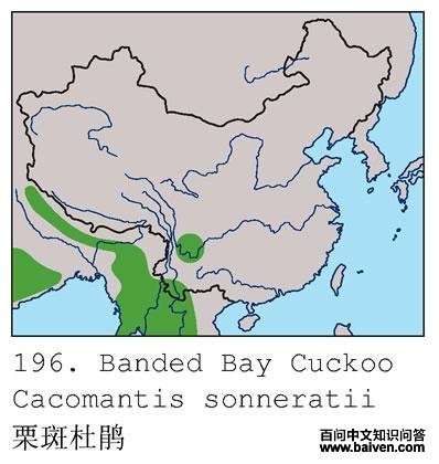 ���߶ž�ĵ����ֲ�ͼ