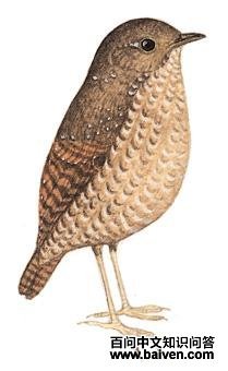 �������̵�ͼ��