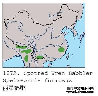 �������̵ĵ����ֲ�ͼ