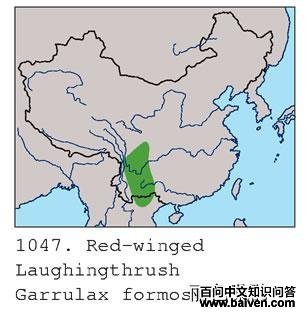 ��ɫ���̵ĵ����ֲ�ͼ